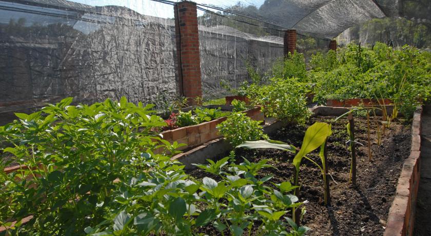 Villa Azalea Inn & Organic Farm JALISCO Exteriör bild